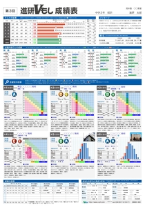 進研Vもし個人成績表