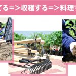 樟蔭④