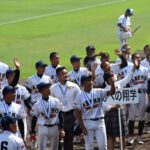 2023abeno-baseball.jpg