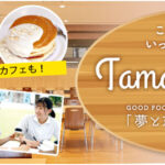 kansaifukushi08