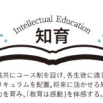 smp-intellectual